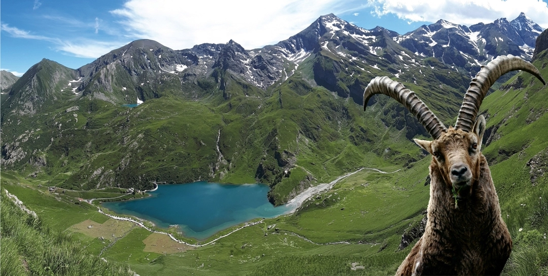 lago Nero